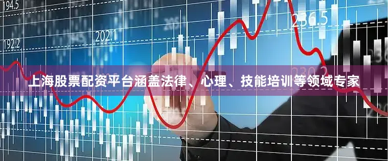 上海股票配资平台涵盖法律、心理、技能培训等领域专家