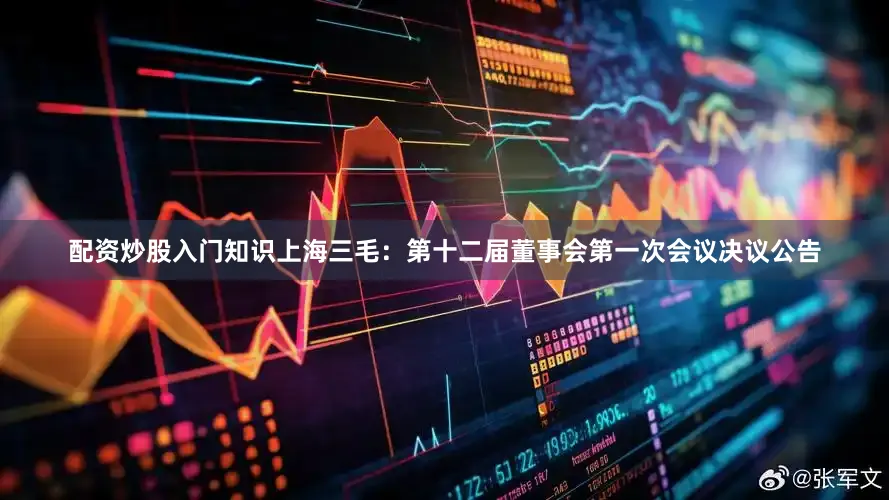配资炒股入门知识上海三毛：第十二届董事会第一次会议决议公告